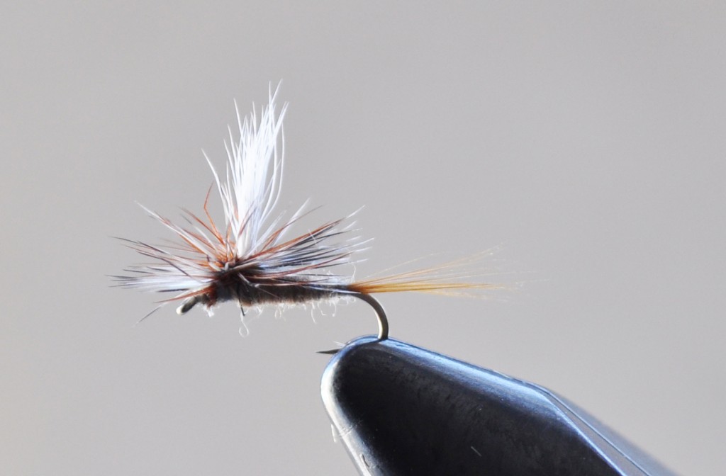 Tying the Wooly Bugger - Dead Drift Outfitters